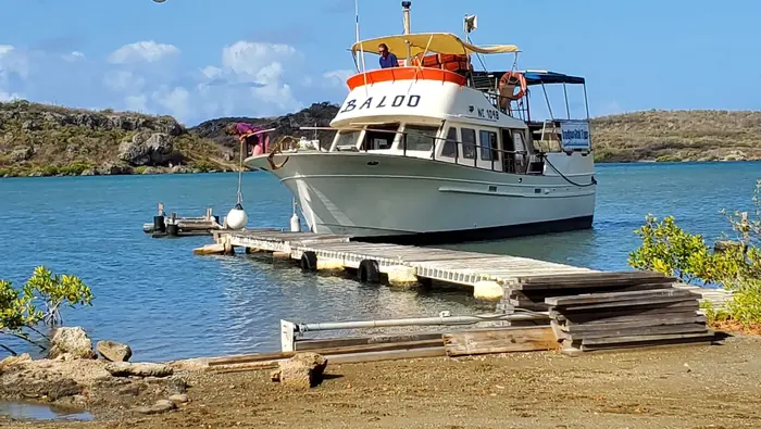 Curacao West Tour Schildkröten, Blaue Grotte und Pizza
